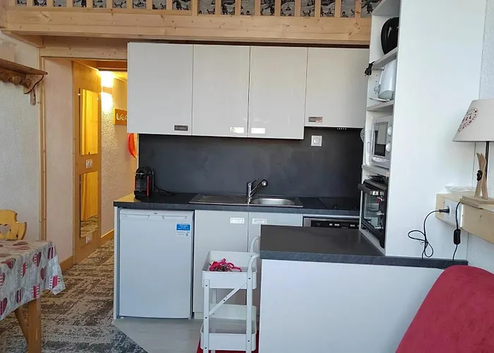 Chaleureux A Aime 25 M² En Montagne Daire *