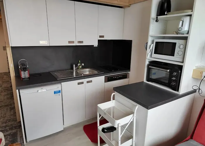 Chaleureux A Aime 25 M² En Montagne Apartment La Plagne
